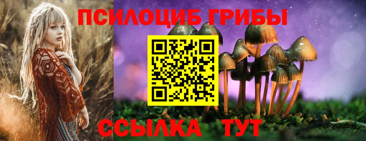 Галлюциногенные грибы MAGIC MUSHROOMS  Вход с VPN  Фурманов 